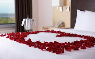 DoubleTree by Hilton Moscow - Vnukovo Airport