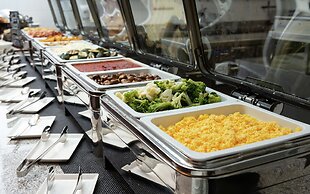 DoubleTree by Hilton Moscow - Vnukovo Airport