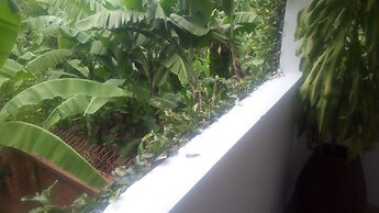 Kilimanjaro Mountain Resorts Marangu