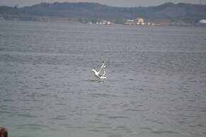 Serik & Geora Guesthouse