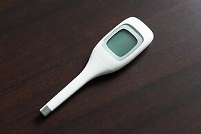 Sotetsu Fresa Inn Tokyo-Kanda