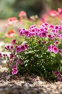 Albergo Residenziale Menhirs