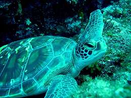 Kencha Rumah - Hostel