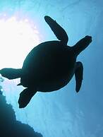 Kencha Rumah - Hostel