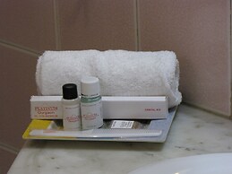 Platinum Infrasource