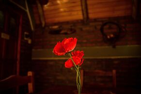 Cabañas Patagonia Encantada by DECK