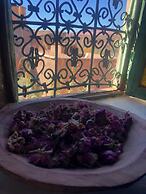 Les jardins de Mgoun