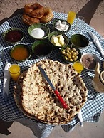 Les jardins de Mgoun