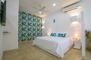 El Cactus Luxury Apartments in Historic Center