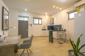 El Cactus Luxury Apartments in Historic Center