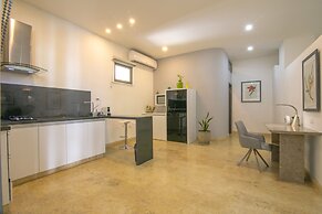 El Cactus Luxury Apartments in Historic Center