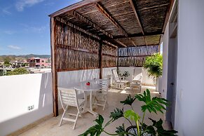 El Cactus Luxury Apartments in Historic Center