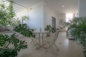 El Cactus Luxury Apartments in Historic Center