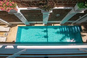 El Cactus Luxury Apartments in Historic Center