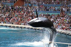 Best Western Hotel Journel Antibes-Juan-les-Pins