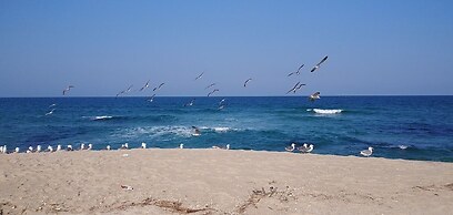 Gangneung Pension Sea and - Pet Friendly