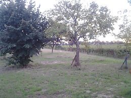 Au Vélo dans l'Arbre