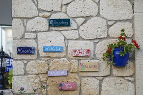 Elda Koyici Alacatı