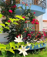 Clementine Suits Sigacik