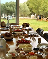 Clementine Suits Sigacik