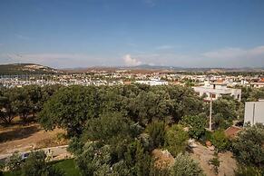 Clementine Suits Sigacik