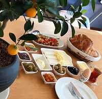 Clementine Suits Sigacik