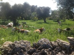 Masseria Nuove Caselle