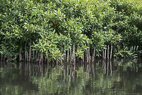 KAJU GREEN eco lodges