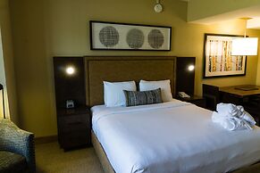 Updated Studio w Full Kitchen Spacious Living Room by RedAwning - Save