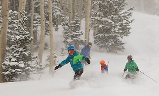 Next to the Red Pine Gondola for Great Winter View by RedAwning - Save