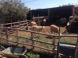 Ferme Sidi Safou