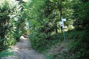 Hotel Gasthaus Adler
