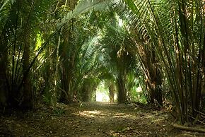 Lower Dover Jungle Lodge & Maya Ruins - Hostel