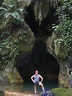 Lower Dover Jungle Lodge & Maya Ruins - Hostel