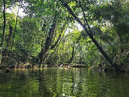Lower Dover Jungle Lodge & Maya Ruins - Hostel