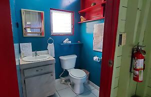 Lower Dover Jungle Lodge & Maya Ruins - Hostel