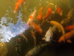 Ecolodge Tubagua Puerto Plata