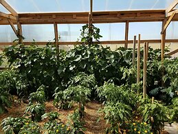 Sleep For Less Motel