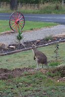 A Stanthorpe Getaway