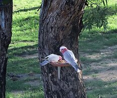 A Stanthorpe Getaway