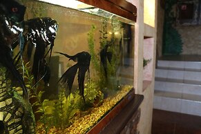 Gostiny Dvor Hotel - Hostel