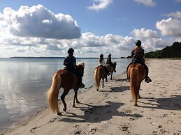 Feddet Strand Resort