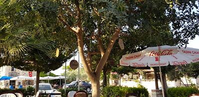 Medusa House Boutique Hotel