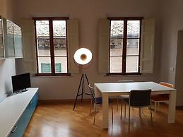 Numero 12 Fior di Narciso 110