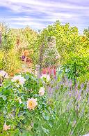 Blue Story Apartments