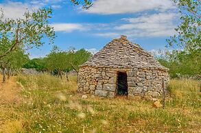 Blue Story Apartments