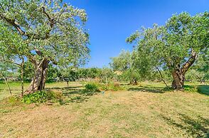 Blue Story Apartments