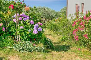 Blue Story Apartments