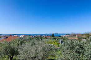 Blue Story Apartments