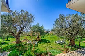 Blue Story Apartments